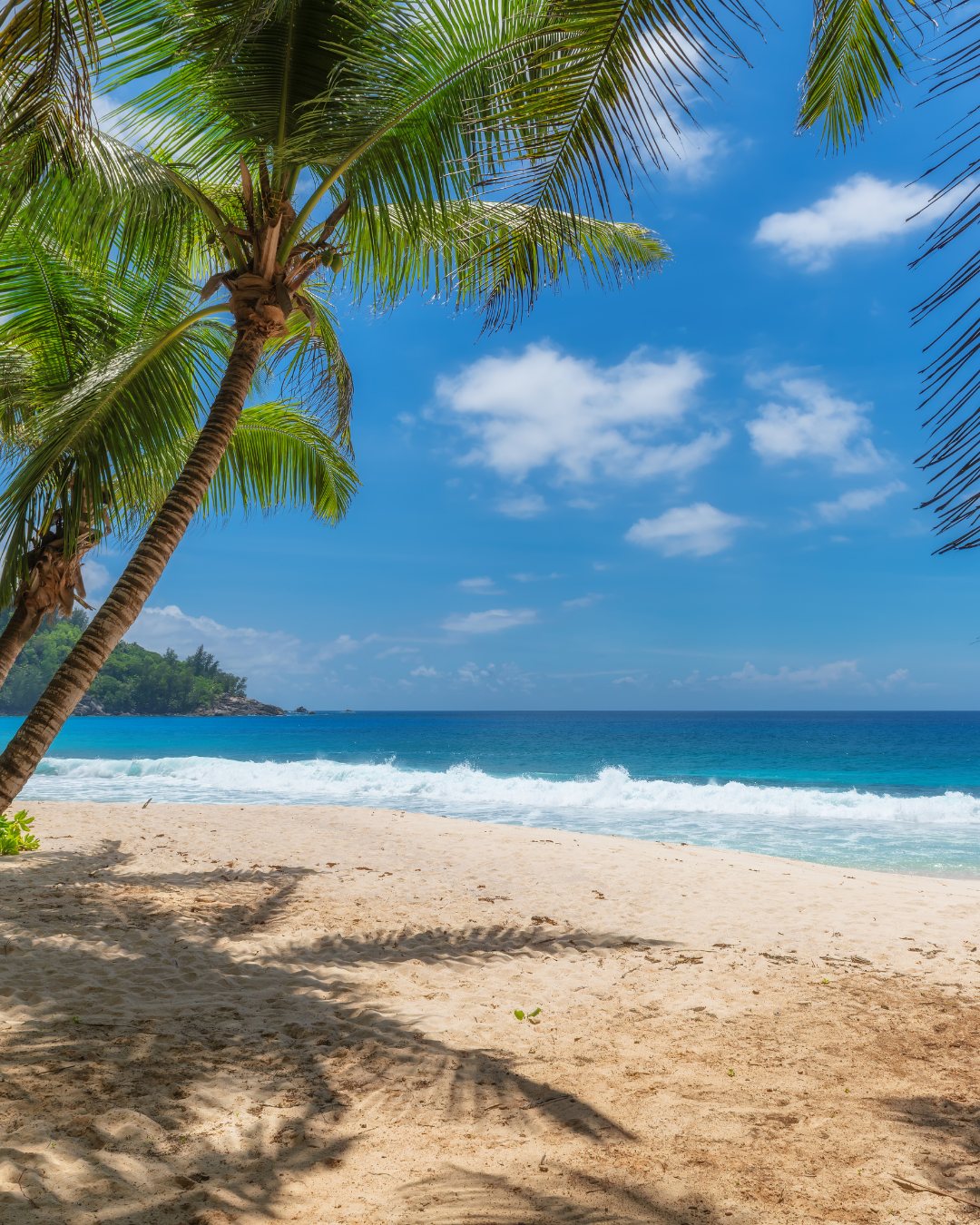 Voucher para Viagem