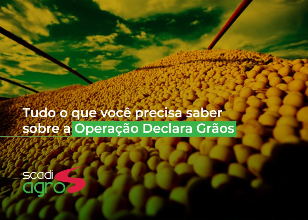 Operação Declara Grãos, De Grão em Grão ou Operação Declara Agro